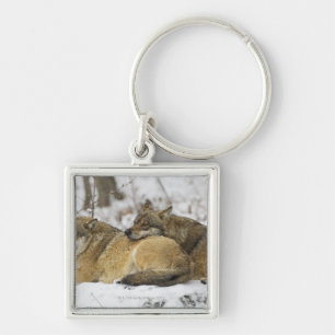 Wölfe im Bawarian Holz Schlüsselanhänger