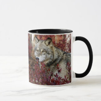 Wölfe im Herbstlauf Tasse
