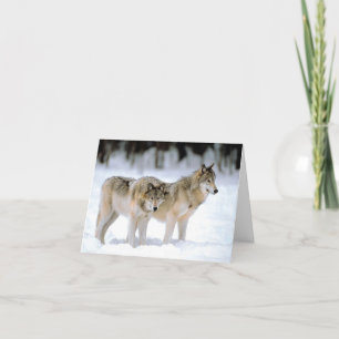WÖLFE IM SCHNEE WEIHNACHTSKARTE FEIERTAGSKARTE