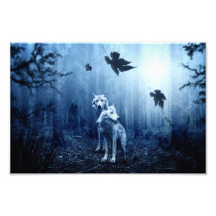 Wölfe im Wald bei Morgendämmerung Fotodruck