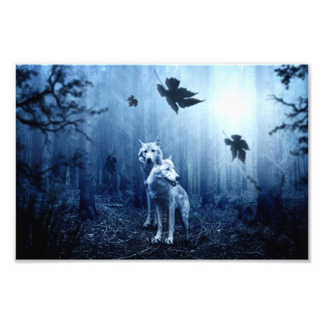 Wölfe im Wald bei Morgendämmerung Fotodruck (Vorne)