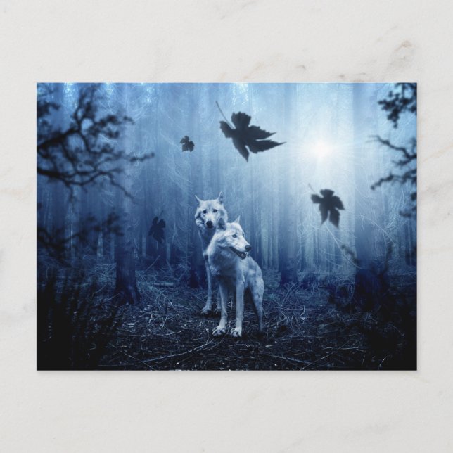 Wölfe im Wald Postkarte (Vorderseite)
