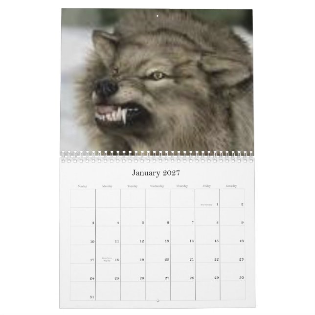 Wölfe Kalender (Jan 2027)