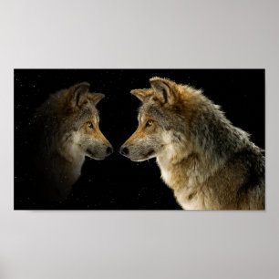 Wölfe Poster