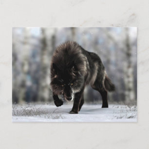 Wölfe Postkarte