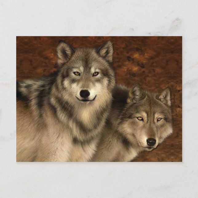 Wölfe Postkarte (Vorderseite)