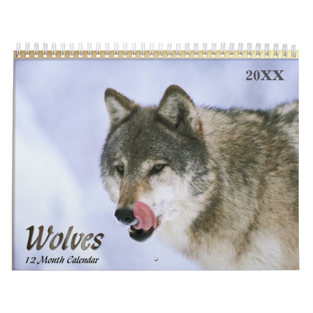 Wölfe-Wildtierkalender 2021 Kalender (Titelbild)