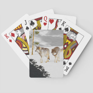 Wolfen in der Schneemalerei - Original Wildlife Ar Spielkarten