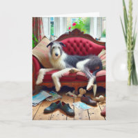 Wolfhound auf einem Sofa zum Geburtstag