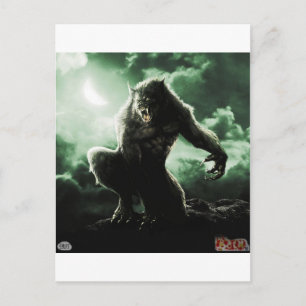 Wolfje ;) postkarte