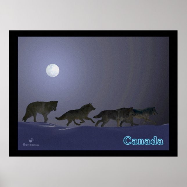 Wolfpack Poster (Vorne)