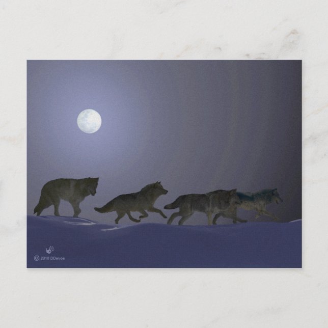 Wolfpack Postkarte (Vorderseite)