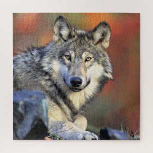 Wolfporträt Puzzle