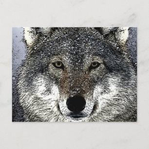 Wolfsaugen Postkarte