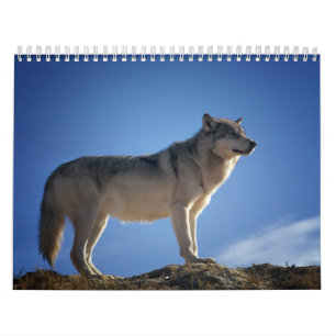 Wolfskalender, Calendar Wolf Kalender