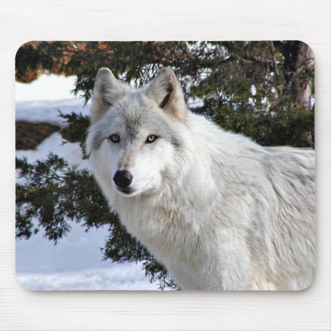 Wolfsmauspad Mousepad (Vorne)