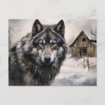 Wolfspostkarte Reihe 1-5