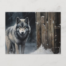 Wolfspostkarte Reihe 1-6