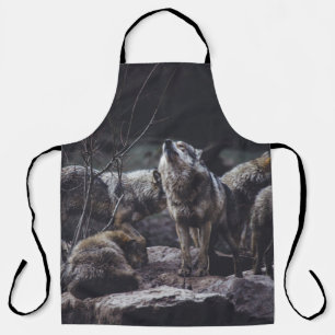 WOLFSRUDEL AUF FELSFORMATION SCHÜRZE