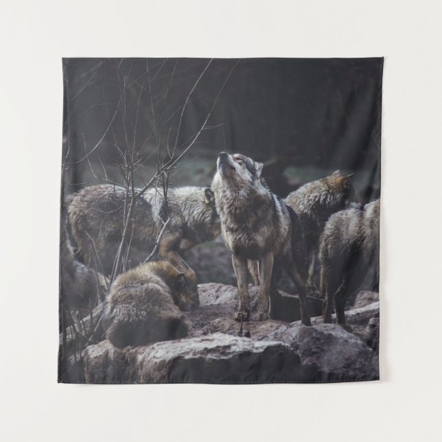 WOLFSRUDEL AUF FELSFORMATION WANDTEPPICH (Vorderseite)