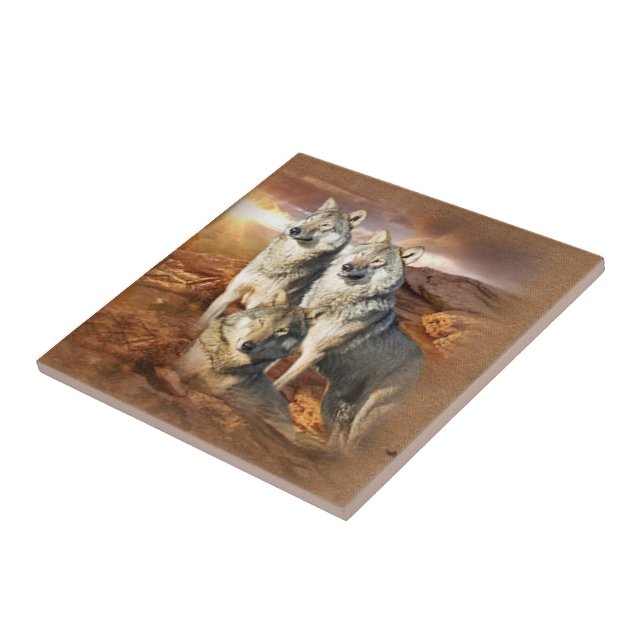 Wolftrick Fliese (Seite)