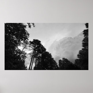 Wolken & Bäume, Poster