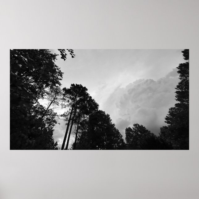 Wolken & Bäume, Poster (Vorne)