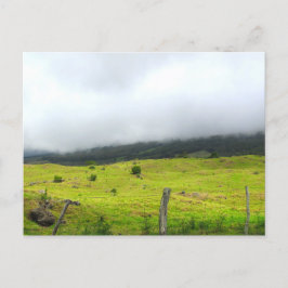 Wolken, die auf Weiden und Postkarte absinken