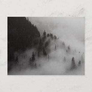 Wolken im Logan Pass Glacier NP Postkarte