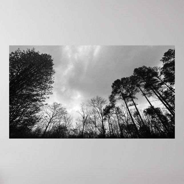 Wolken, Poster (Vorne)