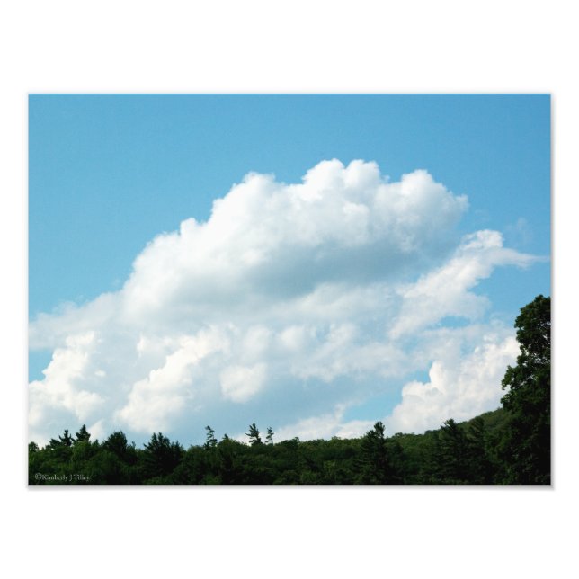 Wolken treffen Bäume Fotodruck (Vorne)