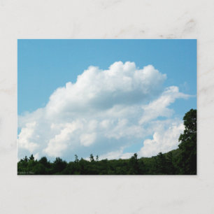 Wolken treffen Bäume Postkarte