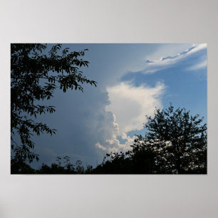 Wolken und Bäume Poster