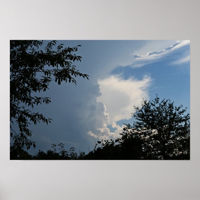 Wolken und Baumposter Poster (Vorne)