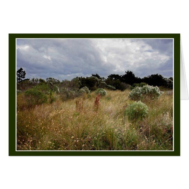 Wolken und das OBX-Großraumprofil (Vorderseite (Horizontal))
