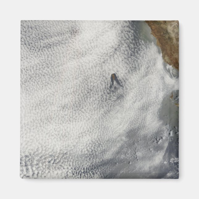 Wolkenbrüche und Ruhm vor der Insel Guadalupe Magnet (Vorne)