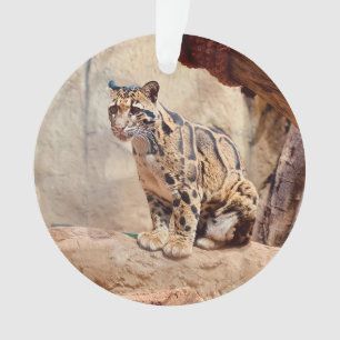 Wolkendecke Landschaftsbild exotische Tierwelt Ornament