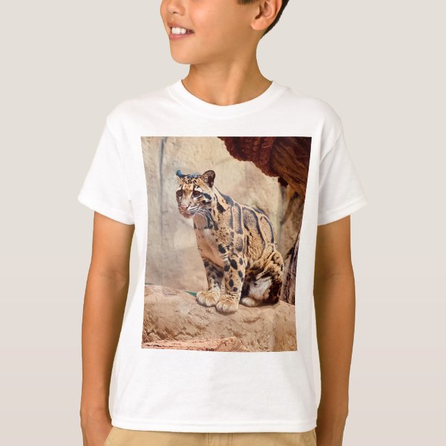 Wolkendecke Landschaftsbild exotische Tierwelt T-Shirt (Vorderseite)