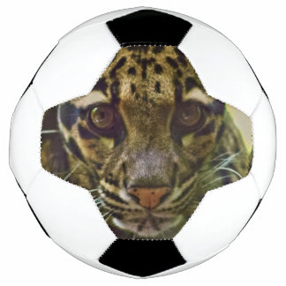Wolkenkleopard Fußball