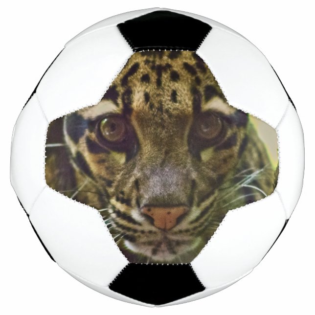 Wolkenkleopard Fußball (Vorderseite)