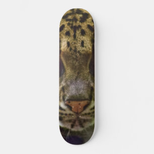 Wolkenkleopard Skateboard