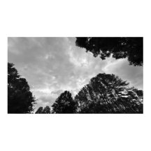 Wolkenkratzer, Plakat