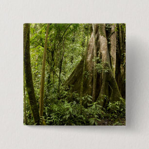 Wolkenwald, Peace Rain Forest, Costa Rica Button