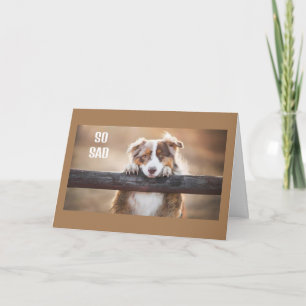 WOLL, DIES IN PERSON ZU SAGEN **GLÜCKLICH 60. GEBU KARTE