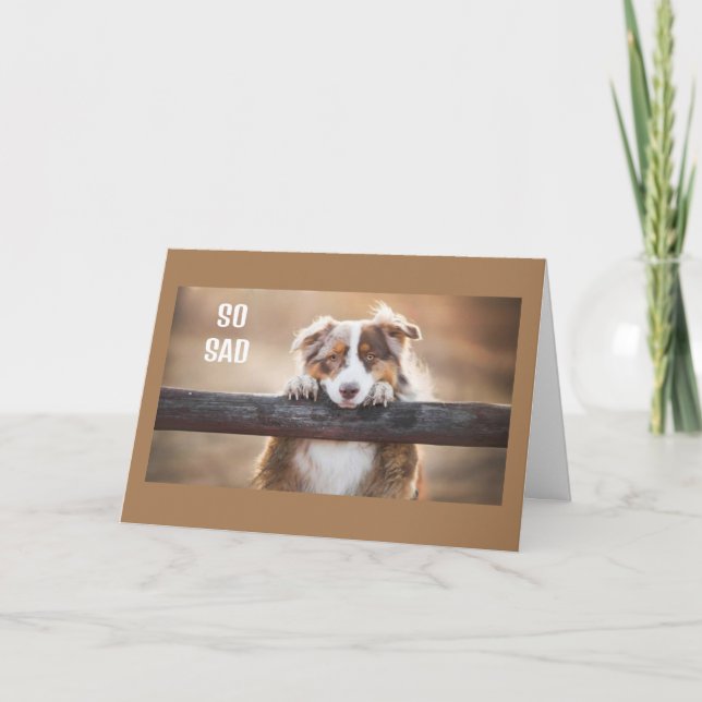 WOLL, DIES IN PERSON ZU SAGEN **GLÜCKLICH 60. GEBU KARTE (Vorderseite)