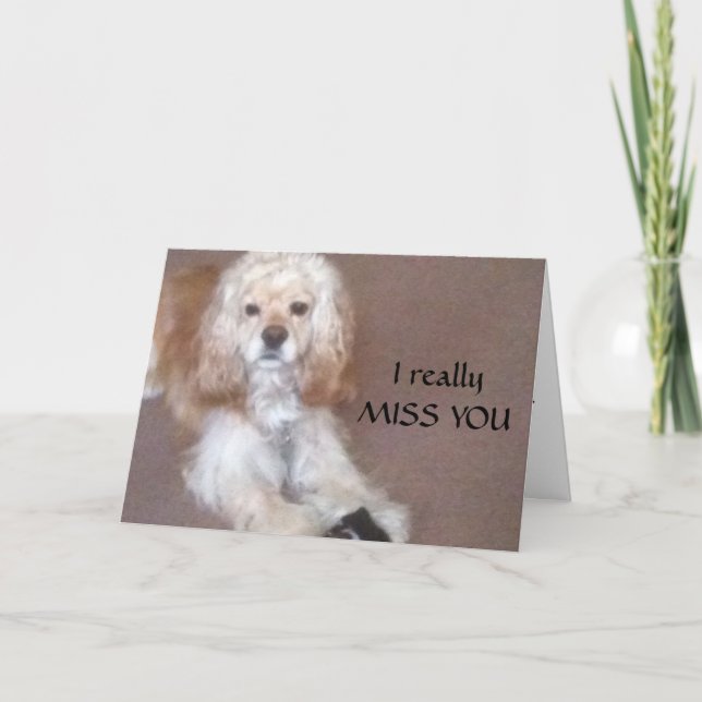 WOLL, DU MISSCH ZUSAMMENZUGEHEN KARTE (Vorderseite)