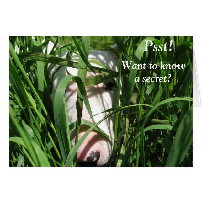 Woll, ein Geheimnis zu kennen (Vorderseite (Horizontal))