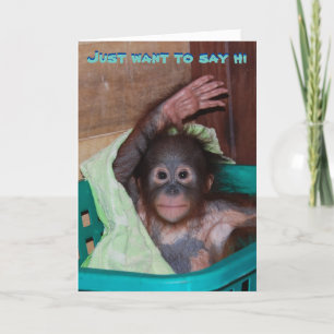 Woll einfach zu Say Hi - Wave Orangutan Karte