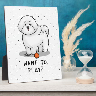 Woll zu spielen? Bichon Frise Hund mit Ball - Nied Fotoplatte