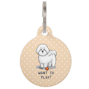 Woll zu spielen? Bichon Frise Hund mit Ball - Nied Haustiermarke